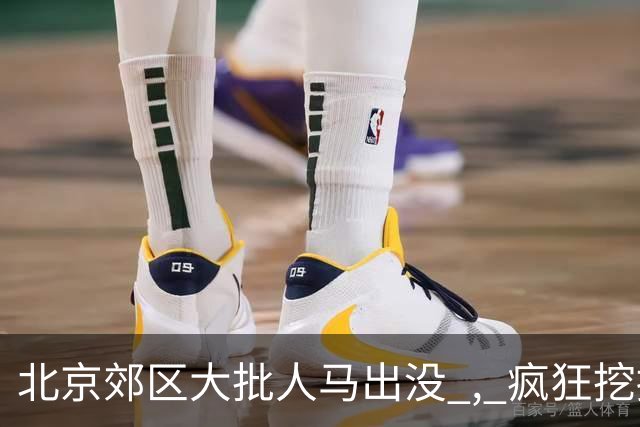 北京郊区大批人马出没 , 疯狂挖掘神秘“黑疙瘩” , 因滥采已岌岌可危