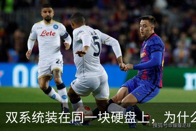 双系统装在同一块硬盘上，为什么迟早会出事？