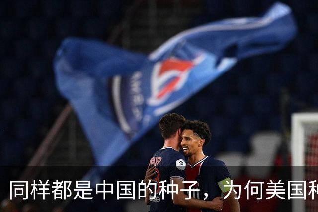 同样都是中国的种子，为何美国种出的水稻，亩产要比中国高？