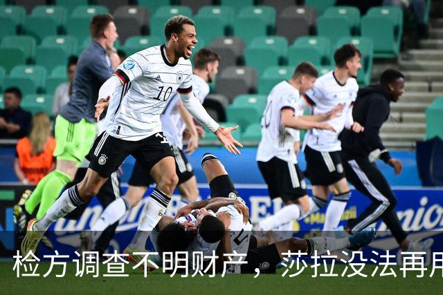 检方调查不明财产，莎拉没法再用“政治迫害”一笔带过