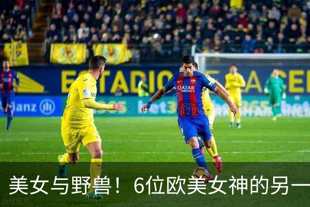 美女与野兽！6位欧美女神的另一半，颜值反差大到让人看不懂！