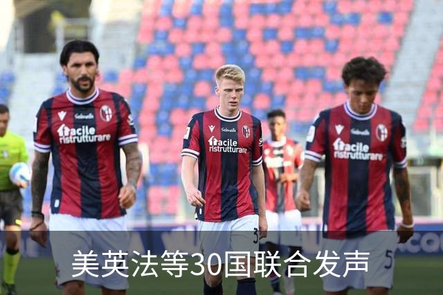 美英法等30国联合发声