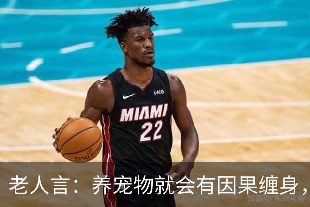 老人言：养宠物就会有因果缠身，这3件事养猫人需要知的冥界规则