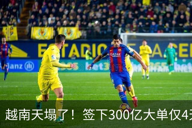 越南天塌了！签下300亿大单仅4天，中国新出一项公告，项目或流产