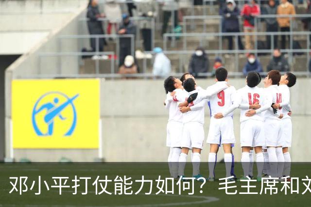 邓小平打仗能力如何？毛主席和刘伯承分别怎么评价他的表现？