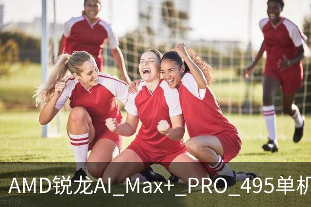 AMD锐龙AI Max+ PRO 495单机吞下三千亿参数大模型